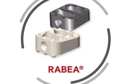 RABEA® — cage-ul în cele două materiale: titan masiv (Ti-6Al-4V) și PEEK-OPTIMA® (render oficial SIGNUS)